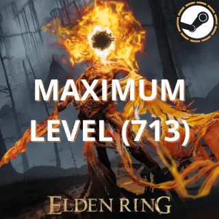 Maximum level (1-713) + All Weapons 