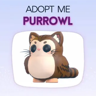 Purrowl Adopt Me