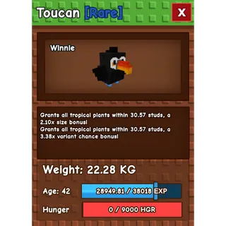 HUGE TOUCAN