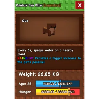 RAINBOW HUGE SEA OTTER