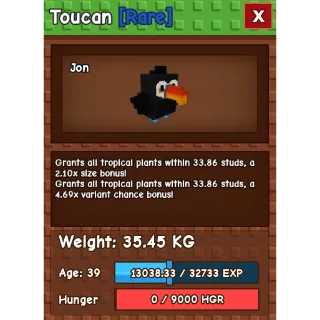 HUGE TOUCAN