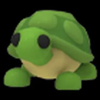 Fr Turtle
