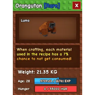 HUGE ORANGUTAN