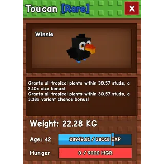 HUGE TOUCAN