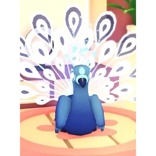 4X MOONBEAM PEACOCK
