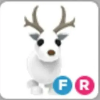 Fr Arctic Reindeer