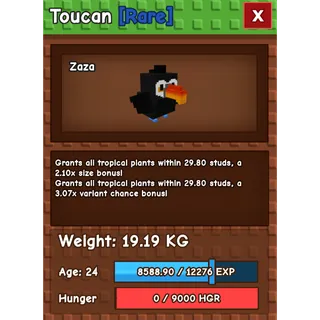 HUGE TOUCAN