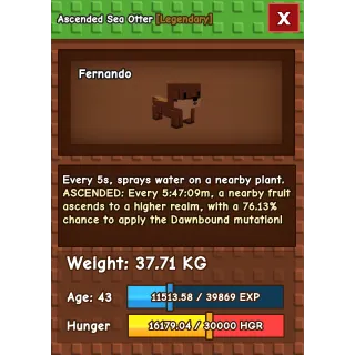 ASCENDED HUGE SEA OTTER