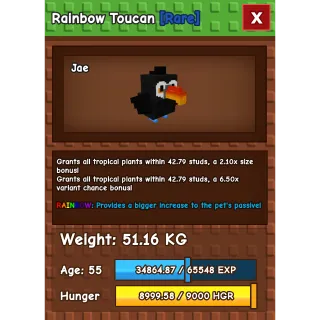 RAINBOW HUGE TOUCAN