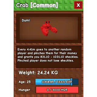 HUGE CRAB