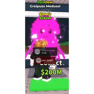 Rainbow Graipuss Medussi