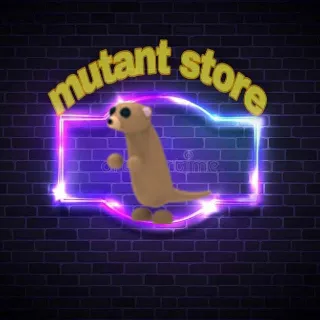 Meerkat
