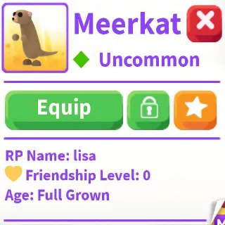 Meerkat