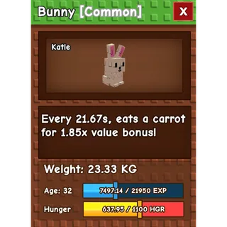 HUGE BUNNY