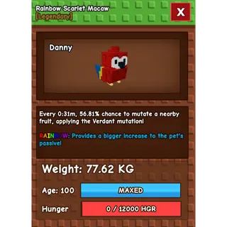 RAINBOW HUGE SCARLET MACAW