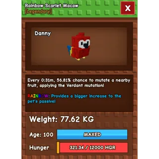 RAINBOW HUGE SCARLET MACAW