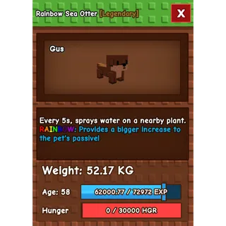 RAINBOW HUGE SEA OTTER