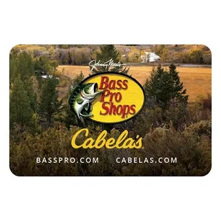 100*5=$500.00    bass pro shops and  Cabelas gift card 