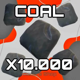 10K Coal