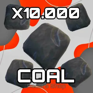 10K Coal