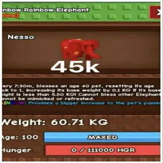 RAINBOW HATCH ELEPHANT 60KG+