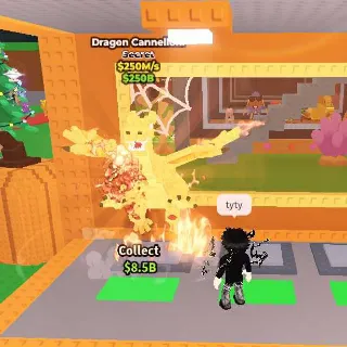 DRAGON CANNELLONI 250M/S