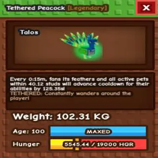 TETHERED COLLOSAL PEACOCK