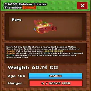 HUGE RAINBOW HATCH LOBSTER THERMIDOR