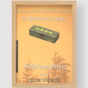 25 Reflective Mods