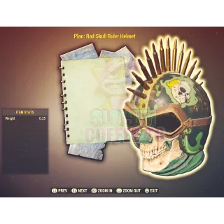 Rad Skull Raider Helmet