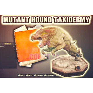 Mutant Hound Taxidermy Plan