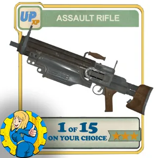 any one .50 Assault Rifle to choose (see description)