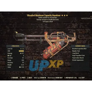 Weapon | Flamer BE15fr