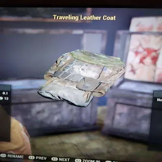 Traveling Leather Coat