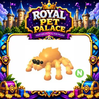 Jumping Spider Neon