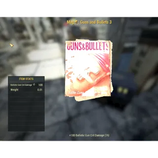 Guns and bullets 3 magazine 