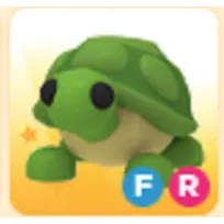 fr turtle