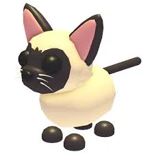 siamese cat 