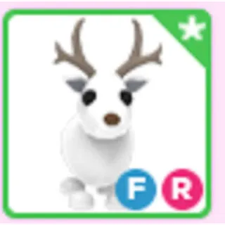 FR Arctic Reindeer