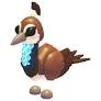 16x peahen