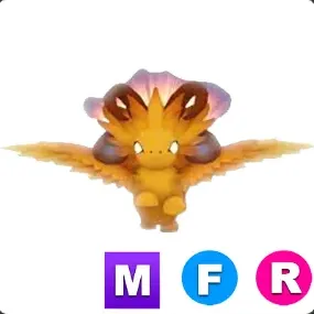 mfr solaris dragon