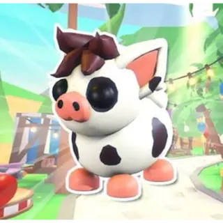Mini Pig