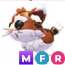 mfr munchkin cat