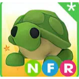 nfr turtle