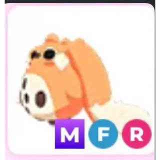MFR CABBIT