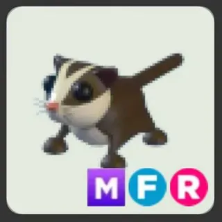 MFR Sugar Glider