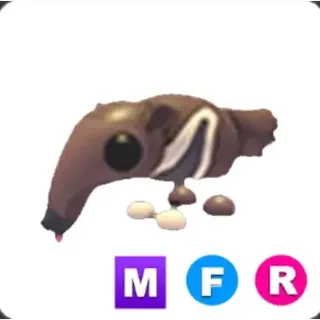 MFR Giant Anteater