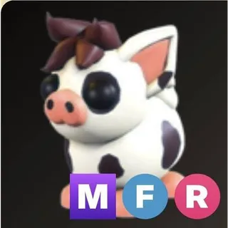 mfr mini pig