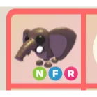 NFR BUSH ELEPHANT 