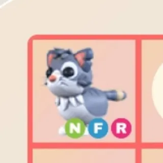 nfr Alley cat